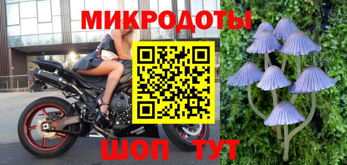 Малоярославец  Галлюциногенные грибы Cubensis  Галлюциногенные грибы Psilocybine cubensis  Вход с VPN 