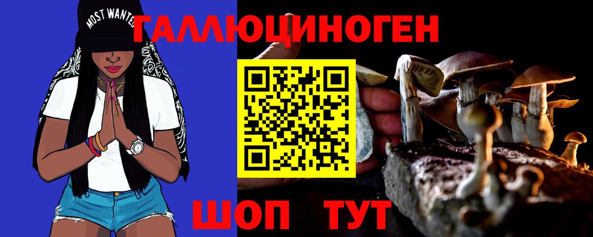 Галлюциногенные грибы прущие грибы Малоярославец